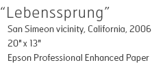 Lebenssprung - San Simeon vicinity, California, 2006 - 20" x 13" - Epson Professional Enhanced Paper - Edition of 15 - $340